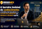A barreira invisível do conhecimento: a mecânica dos buscadores e a ascensão dos profissionais que dominam a relevância regional